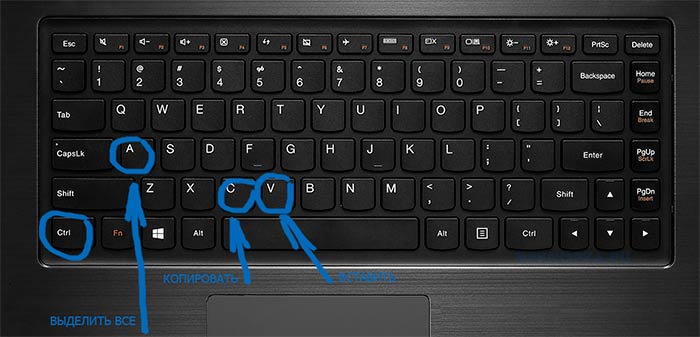 Как скопировать и вставить кнопками клавиатуры